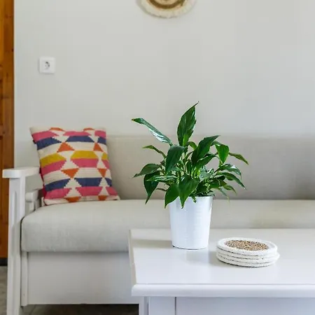 Rodani Apartment